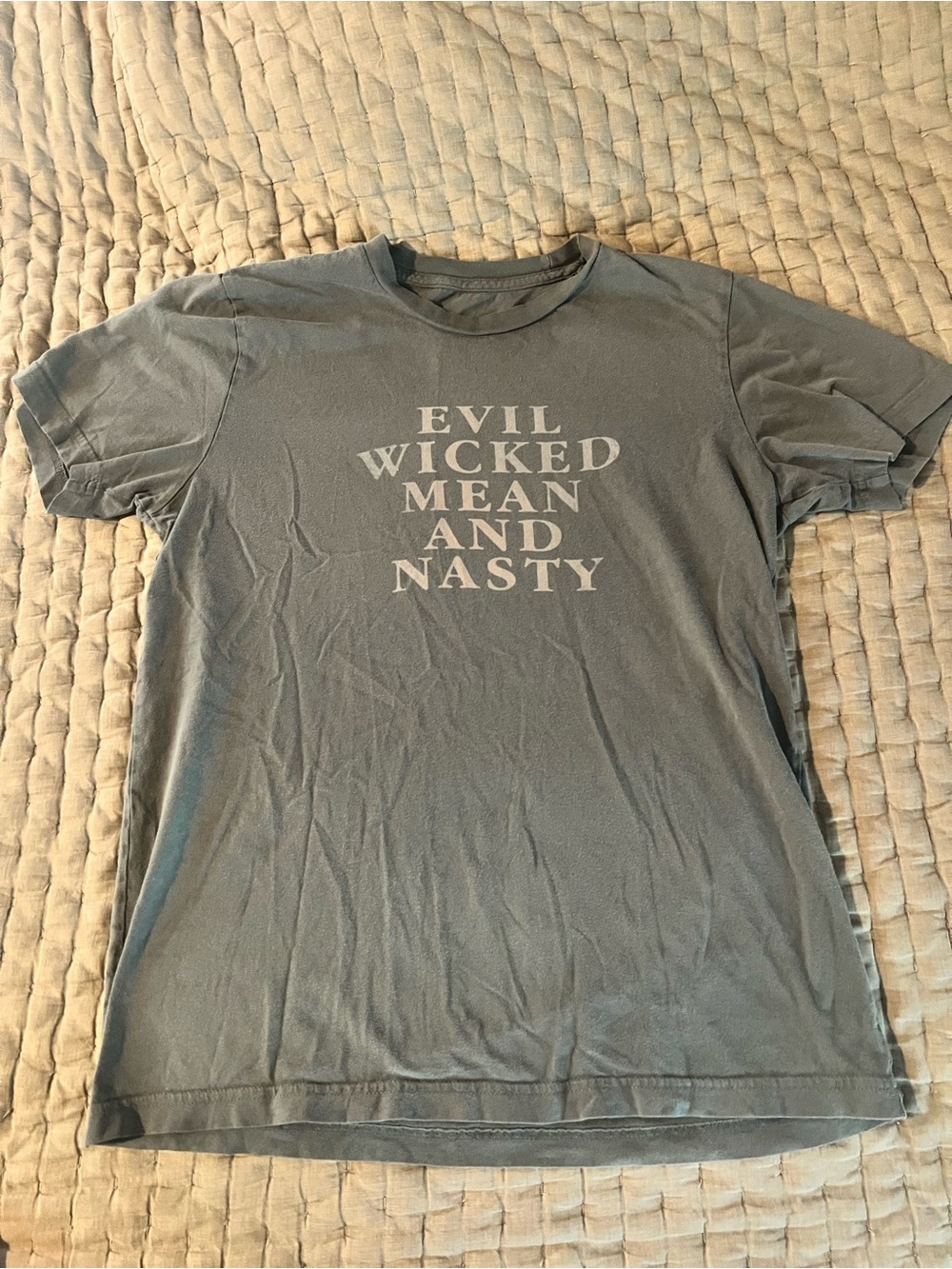 Men's Gray Graphic Tee - "Evil Wicked Mean and Nasty" - Classic Outlaw Biker